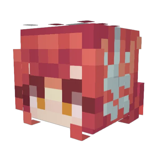 Izby_ Minecraft avatar head, 3D render
