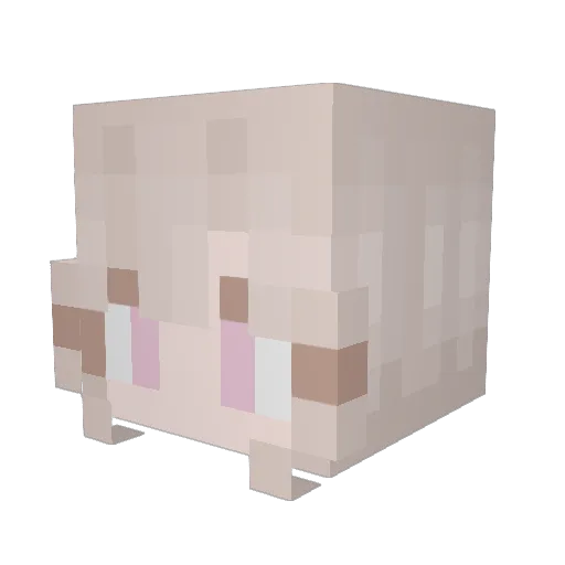 IzyDedyet Minecraft avatar head, 3D render