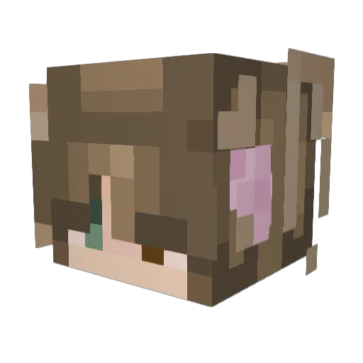 Izz0_ Minecraft avatar head, 3D render