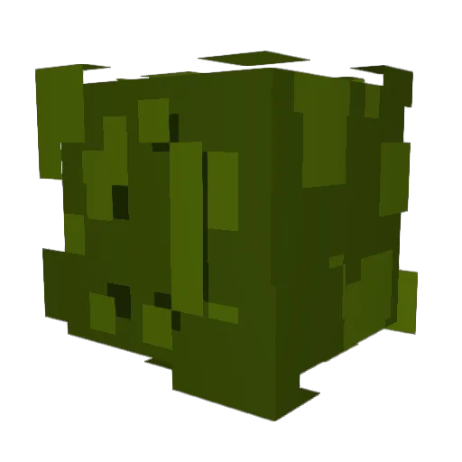 Izzy5224 Minecraft avatar head, 3D render