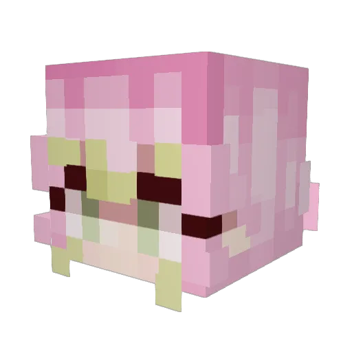Izzy8282 Minecraft avatar head, 3D render