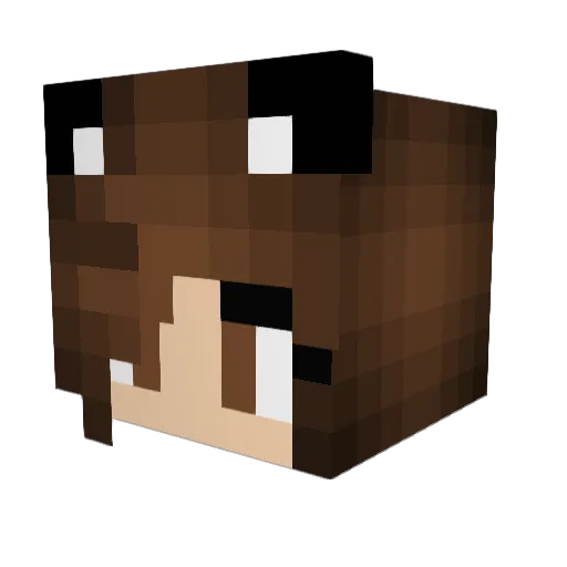 IzzyBeBee03 Minecraft avatar head, 3D render