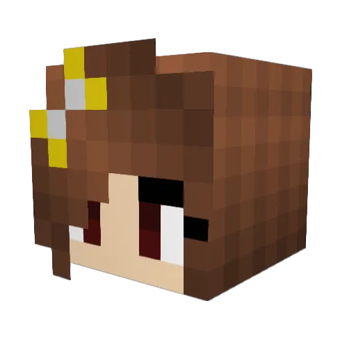 IzzyBee7 Minecraft avatar head, 3D render