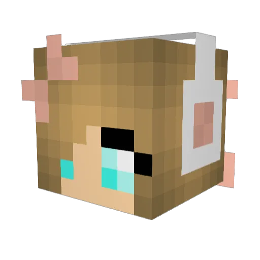 IzzyMuir12 Minecraft avatar head, 3D render