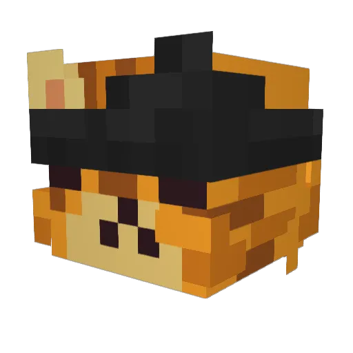 IzzyPixy Minecraft avatar head, 3D render