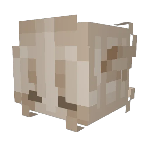 Izzy_727 Minecraft avatar head, 3D render