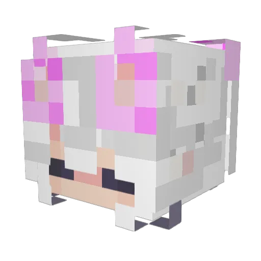 Izzyboi411 Minecraft avatar head, 3D render