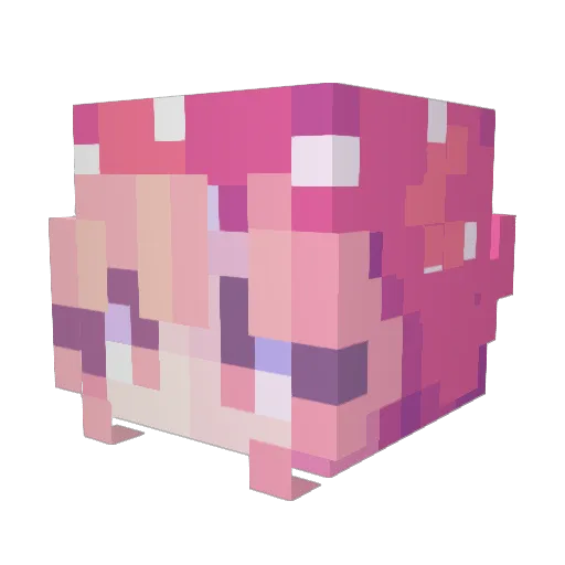 Izzysobusy Minecraft avatar head, 3D render