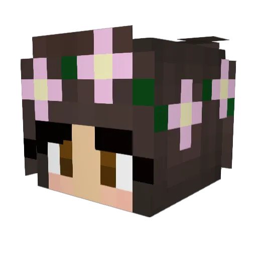 Izzywizzy102936 Minecraft avatar head, 3D render