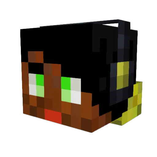 J00ST2000 Minecraft avatar head, 3D render