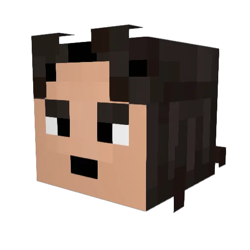 J0HNW1CK00 Minecraft avatar head, 3D render