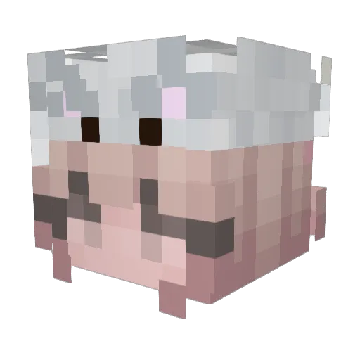J0Meoww Minecraft avatar head, 3D render