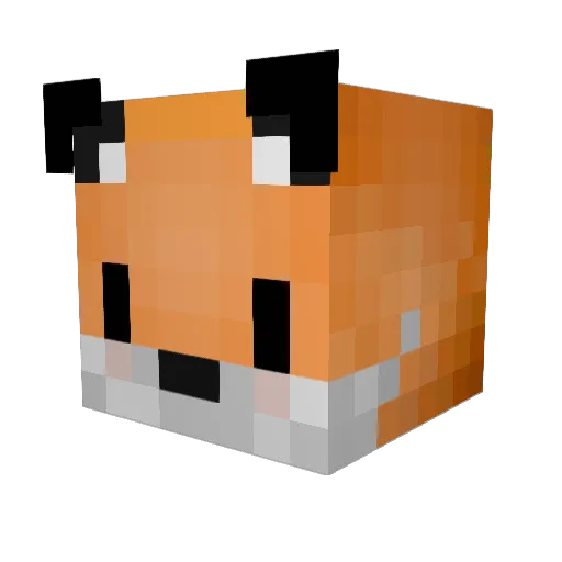 J0N4SSS Minecraft avatar head, 3D render