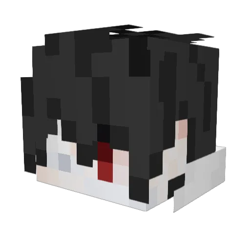 J0h1_ Minecraft avatar head, 3D render