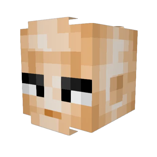 J0hnFR Minecraft avatar head, 3D render
