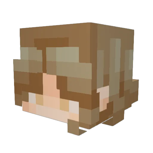 J0llySun Minecraft avatar head, 3D render