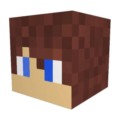 J0n4s_20 Minecraft avatar head, 3D render