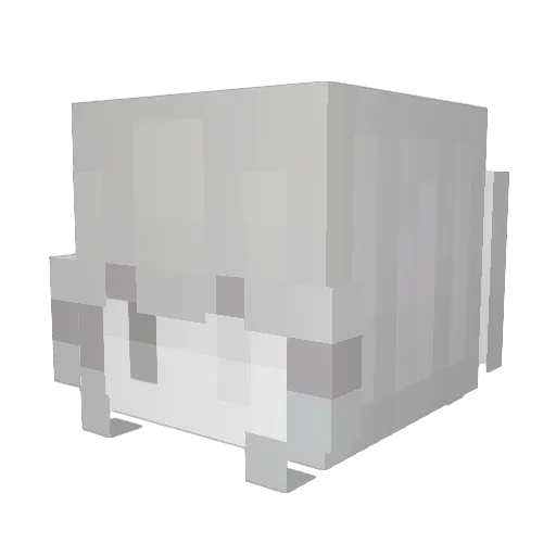 J0rden_ Minecraft avatar head, 3D render