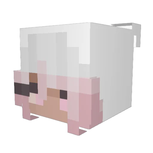 J0ydog Minecraft avatar head, 3D render