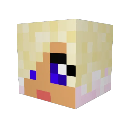 J10ed Minecraft avatar head, 3D render