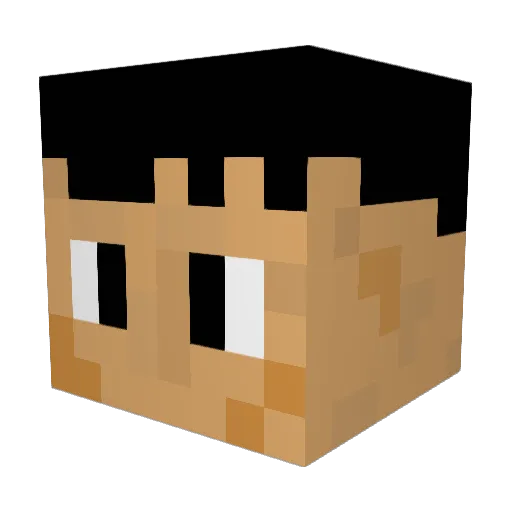 J11J11 Minecraft avatar head, 3D render