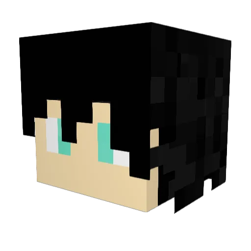 J13131 Minecraft avatar head, 3D render