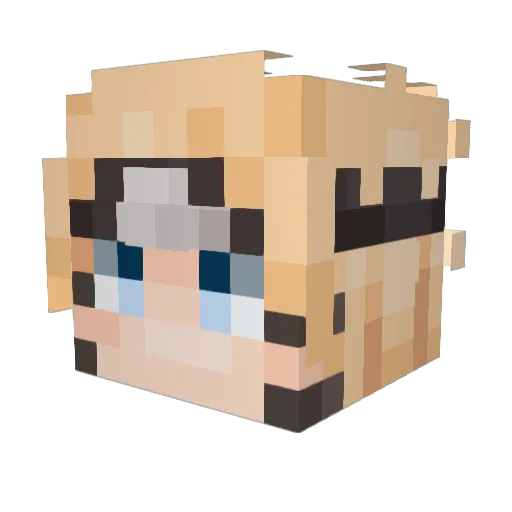 J17x Minecraft avatar head, 3D render