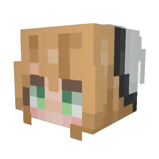 J1INK0O Minecraft avatar head, 3D render