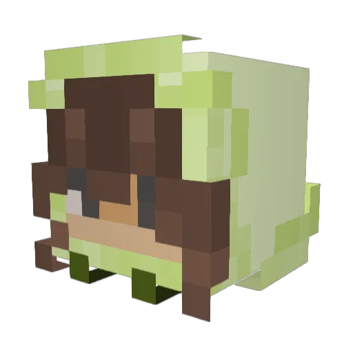 J1mmybo1111 Minecraft avatar head, 3D render