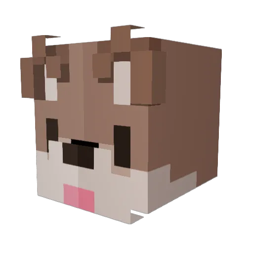 J1s00n Minecraft avatar head, 3D render
