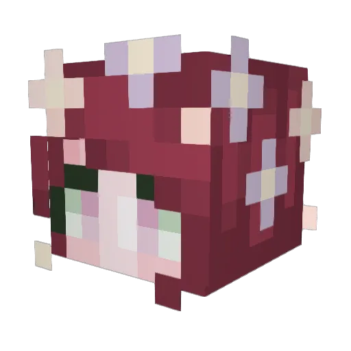 J3N_XO Minecraft avatar head, 3D render