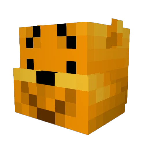 J3TRAY Minecraft avatar head, 3D render