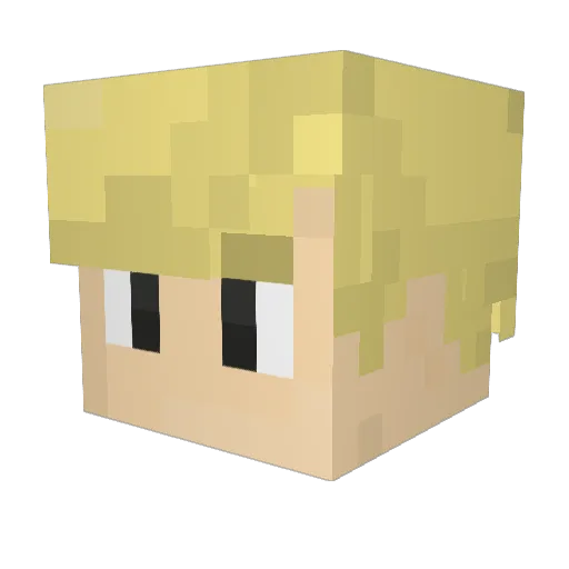 J3_Tap Minecraft avatar head, 3D render