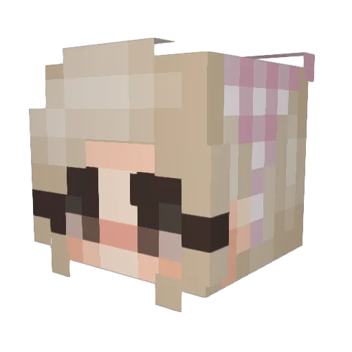 J3ffrey_3pstein Minecraft avatar head, 3D render