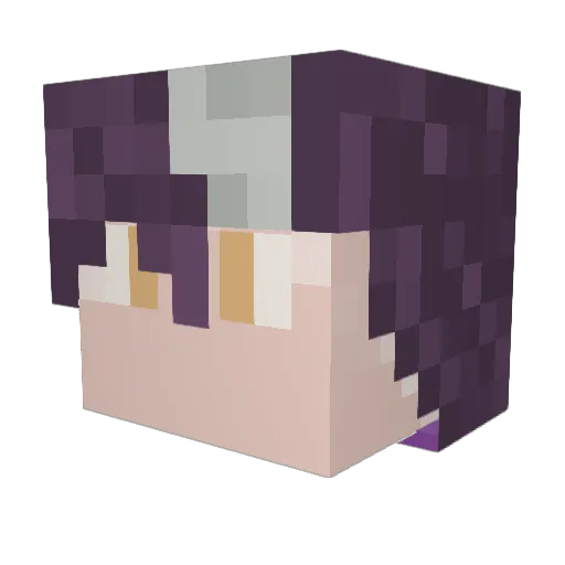 J3n0v4_vt Minecraft avatar head, 3D render