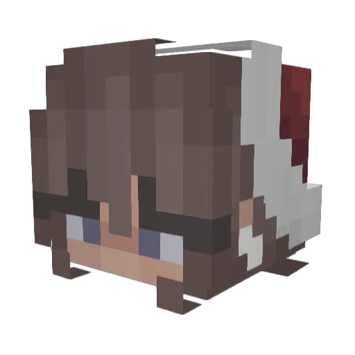 J3nLuvsYou Minecraft avatar head, 3D render