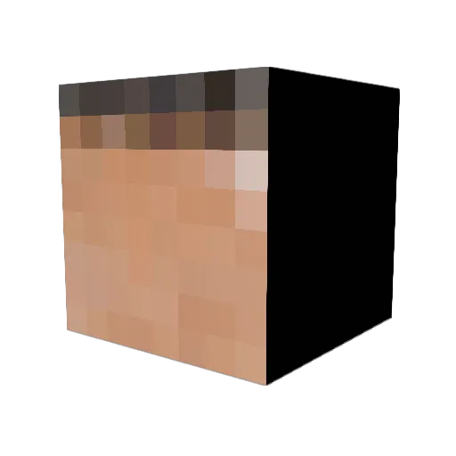 J3nnyTulls Minecraft avatar head, 3D render