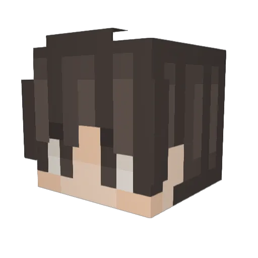 J3rdon Minecraft avatar head, 3D render