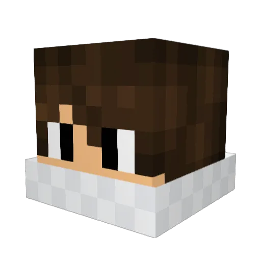 J41554 Minecraft avatar head, 3D render