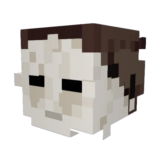 J4ACOB Minecraft avatar head, 3D render