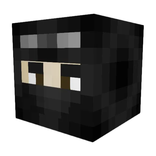 J4G9 Minecraft avatar head, 3D render