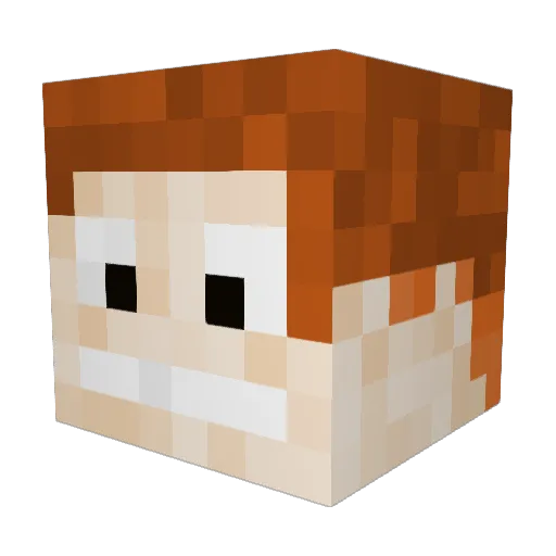 J4YG1RL1993 Minecraft avatar head, 3D render