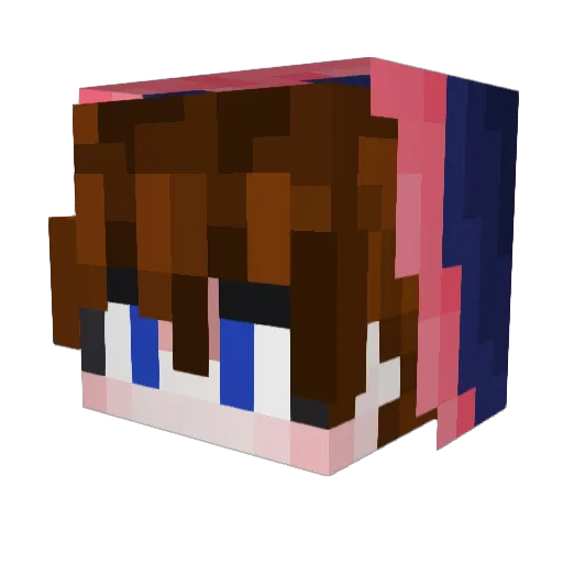 J4mB4gs Minecraft avatar head, 3D render