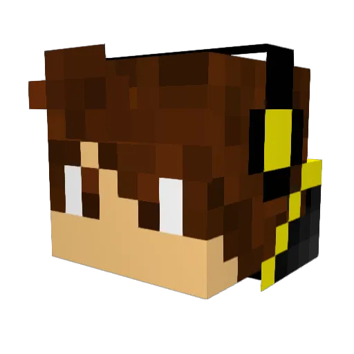 J4n2005 Minecraft avatar head, 3D render