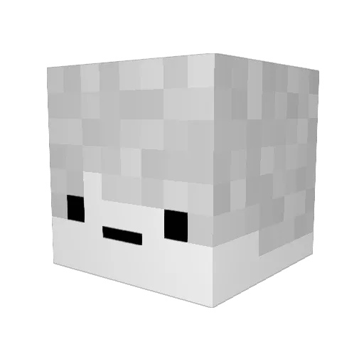 J4nGamezz Minecraft avatar head, 3D render
