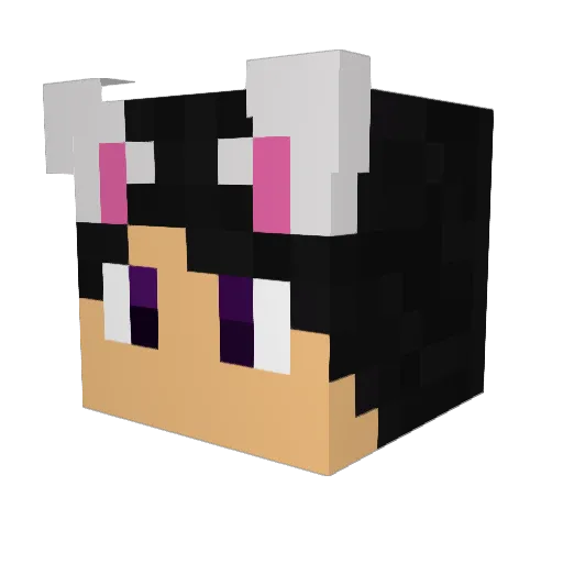 J4s7er Minecraft avatar head, 3D render