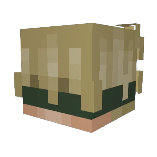 J4sp_ Minecraft avatar head, 3D render