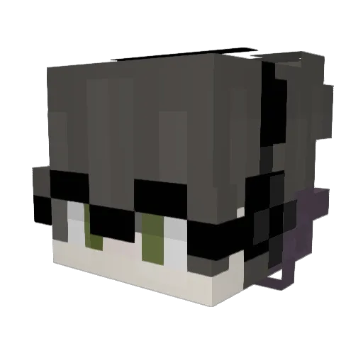 J4ydenn__ Minecraft avatar head, 3D render