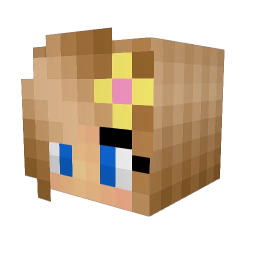 J5troop Minecraft avatar head, 3D render