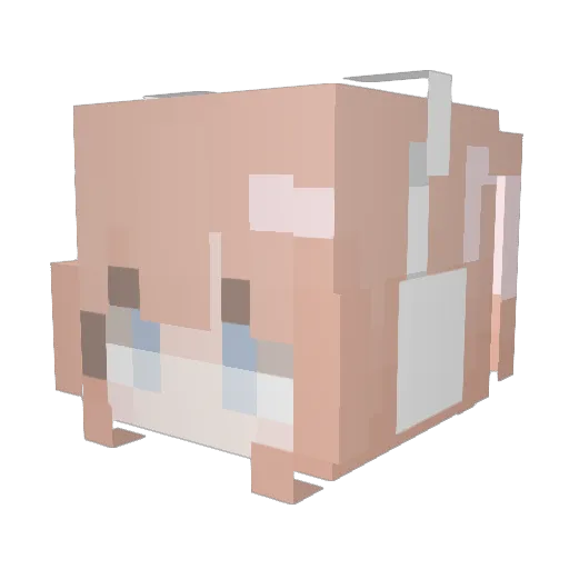 J6XKunG Minecraft avatar head, 3D render